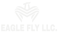 Eagle Fly logo